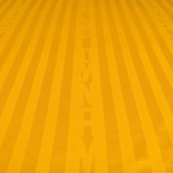 Camiseta local infantil de manga larga Dynamo Dresden 2026/27 Camiseta local infantil de manga larga Dynamo Dresden 2026/27