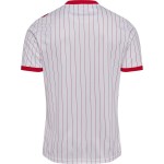 Camiseta Mundial 2026 Visitante Dinamarca Hombre