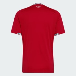 Camiseta local de la Copa del Mundo 2026 de Gales para hombre Camiseta local de la Copa del Mundo 2026 de Gales para hombre