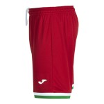Pantalón Corto de la Tercera Equipación de la Real Sociedad 2026/27 para Niño Pantalón Corto de la Tercera Equipación de la Real Sociedad 2026/27 para Niño