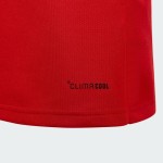 Niño Gales 2025/26 Camiseta de Manga Larga 150.º Aniversario Niño Gales 2025/26 Camiseta de Manga Larga 150.º Aniversario