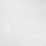 Mujer Dynamo Dresden 2025/26 Camiseta Especial Whiteout