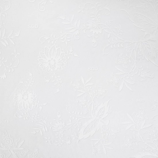 Mujer Dynamo Dresden 2025/26 Camiseta Especial Whiteout