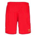 Pantalones cortos de visitante SC Paderborn 07 2026/27 para niño Pantalones cortos de visitante SC Paderborn 07 2026/27 para niño