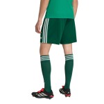 Shorts visitante Argelia 2026 Copa del Mundo mujer Shorts visitante Argelia 2026 Copa del Mundo mujer
