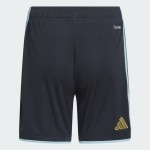 Pantalones cortos locales de la Copa del Mundo 2026 de Argentina para niño Pantalones cortos locales de la Copa del Mundo 2026 de Argentina para niño