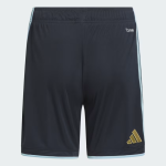 Pantalones cortos locales de la Copa del Mundo 2026 de Argentina para mujer Pantalones cortos locales de la Copa del Mundo 2026 de Argentina para mujer
