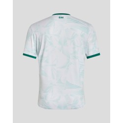 Camiseta Visitante Equipo Femenino Irlanda Hombre 2025