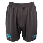 Niño Ipswich Town 2025/26 Tercero Pantalones Cortos Niño Ipswich Town 2025/26 Tercero Pantalones Cortos