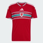 Camiseta local de la Copa del Mundo 2026 de Gales para hombre