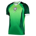 Camiseta Mundial 2026 Local Nigeria Hombre Camiseta Mundial 2026 Local Nigeria Hombre